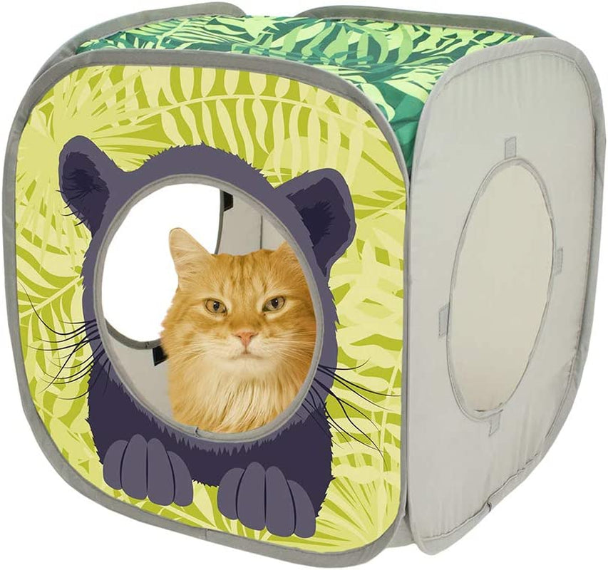 Jungle Cat Cube Combo, Collapsible Cat Cube, Cat Bed, Tunnel, Cat Toy